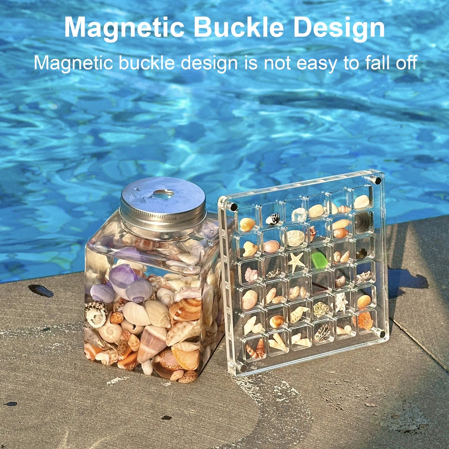 Seashell Display Box Acrylic Magnetic Seashell Display Case Acrylic Organizer Box Stackable Small Craft Organizers Compartment